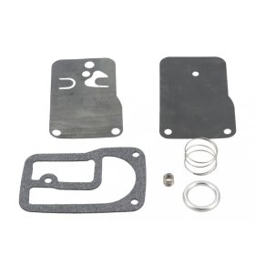 Briggs membránszett