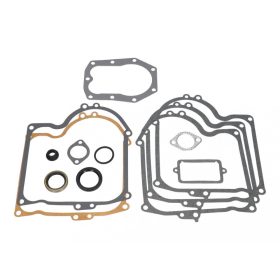 Briggs tömítéskészlet 10-11 LE Intek