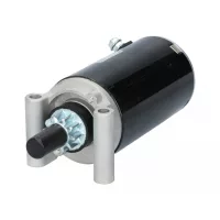 Kohler motor
