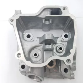 Hengerfej komplett Kasei EX17 20A1300102A