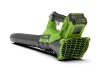 Greenworks GD40ABIIK2X akkumulátoros lombfúvó 40 V (akkumulátorokkal és töltővel) 2406707UC-GW
