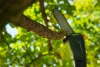 STIGA MT 500e akkumulátoros multi-tool – magassági ágvágó és sövényvágó, 48V (akku nélkül) 278720008-ST3