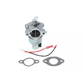  Karburátor komplett Kohler SV540, SV590, SV600, SV610, SV620
