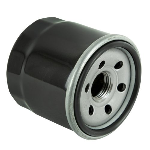 Motorolajszűrő Loncin LC1P96-F