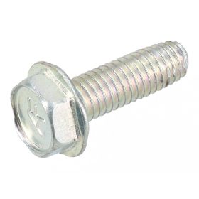 Briggs csavar 094118