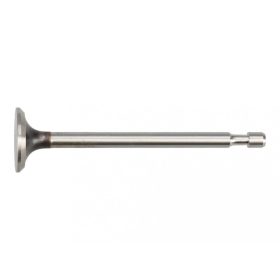   Briggs kipufogó szelep 5 LE vízszintes tengelyű motorokhoz