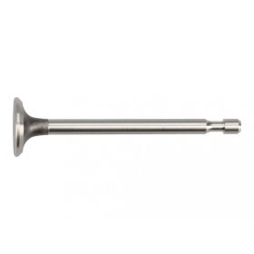 Briggs kipufogó szelep Quantum