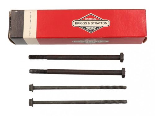 Briggs önindító csavar készlet 394427