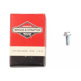 Briggs csavar 690345