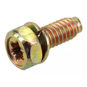 Briggs csavar 691665