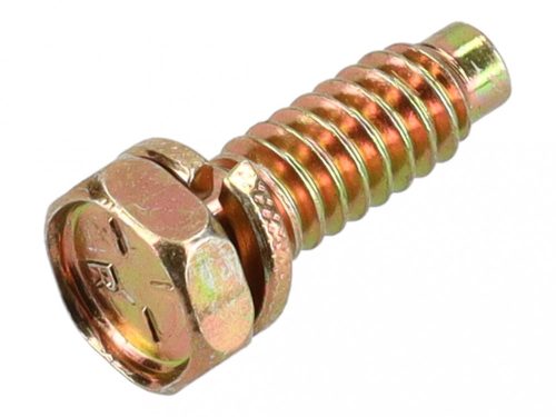 Briggs csavar hörgőszelephez 691666