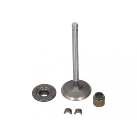 Briggs szívószelep 697464