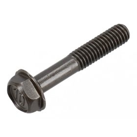 Briggs csavar 805395