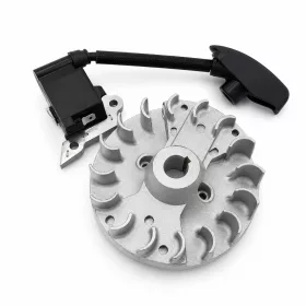Gyújtás komplett Kasei 3CS230EF HP23-2-1
