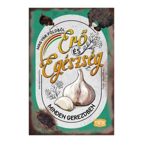   Retro fémtábla - Magyar földből Erő és Egészség - A4 - 20x30 cm
