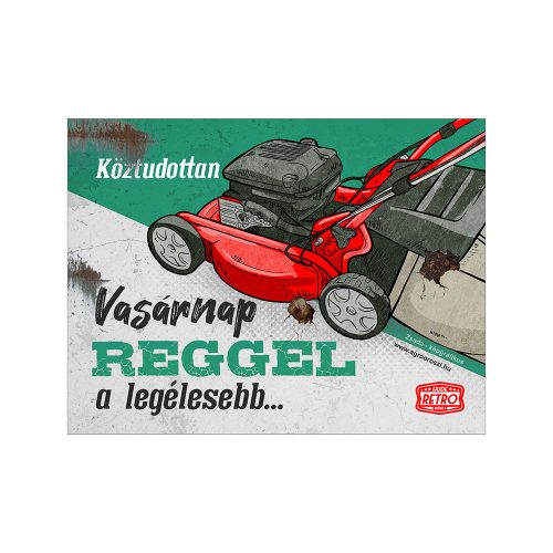 Retro fémtábla - Köztudottan vasárnap a legélesebb - zöld-piros - A5 - 15x20 cm