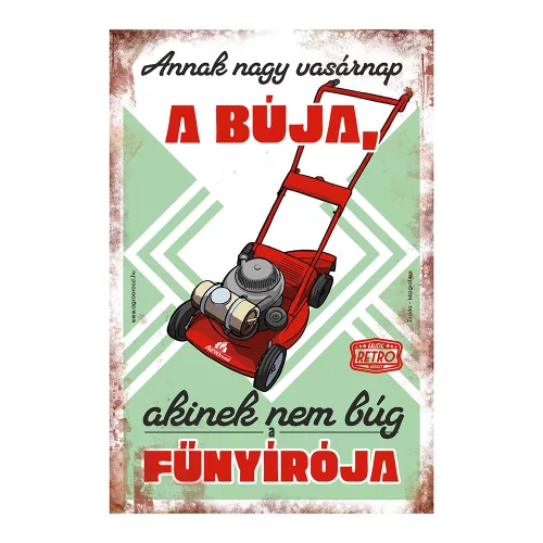 Retro fémtábla - Annak nagy vasárnap a búja - zöld - A4 - 20x30 cm - PREMIUM T027-Z-A4P