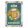 Retro fémtábla - A sör nem ital, hanem életérzés - kék kerettel - A4 - 20x30 cm - PREMIUM