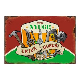   Retro fémtábla - Csak nyugi, értek hozzá - bordó-zöld - A4 - 20x30 cm