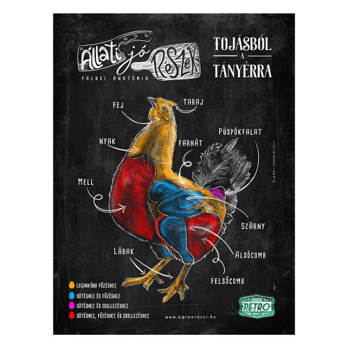 Retro fémtábla - Állati jó részek - tojásból a tányérra - fekete - A3 - 30x40 cm - PREMIUM