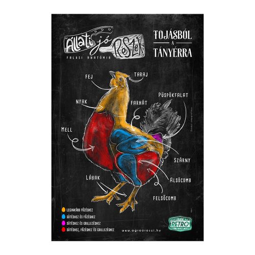 Retro fémtábla - Állati jó részek - tojásból a tányérra - fekete - A4 - 20x30 cm - PREMIUM