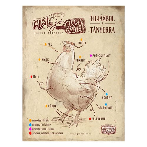 Retro fémtábla - Állati jó részek - tojásból a tányérra - barna - A3 - 30x40 cm - PREMIUM
