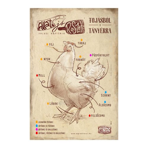 Retro fémtábla - Állati jó részek - tojásból a tányérra - barna - A4 - 20x30 cm - PREMIUM