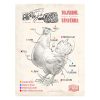 Retro fémtábla - Állati jó részek - tojásból a tányérra - világosbarna - A3 - 30x40 cm - PREMIUM
