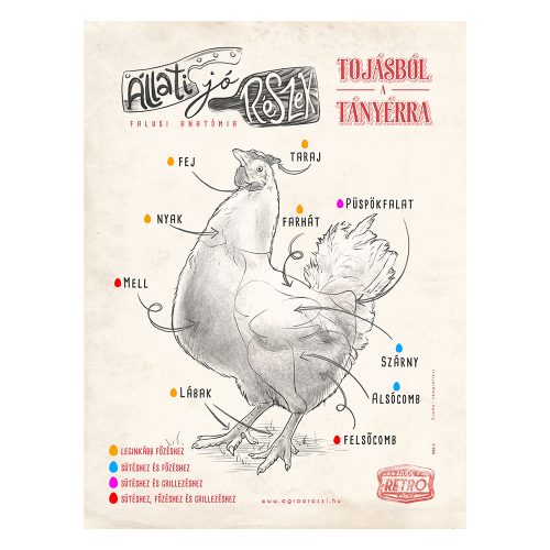 Retro fémtábla - Állati jó részek - tojásból a tányérra - világosbarna - A3 - 30x40 cm - PREMIUM