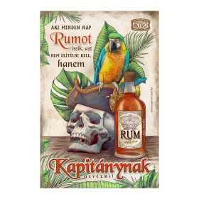   Retro fémtábla - Aki mindent nap rumot iszik... - barna - A4 - 20x30 cm