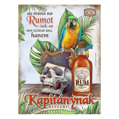 Retro fémtábla - Aki mindent nap rumot iszik... - kékes - A3 - 30x40 cm - PREMIUM