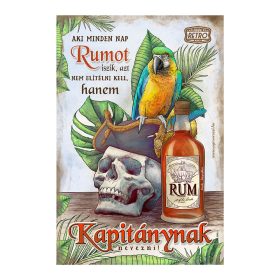   Retro fémtábla - Aki mindent nap rumot iszik... - kékes - A4 - 20x30 cm