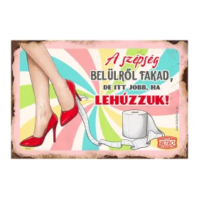 Retro fémtábla - A szépség belülről fakad, de itt jobb ha lehúzzuk - rózsaszín - A4 - 20x30 cm  T114-2-A4