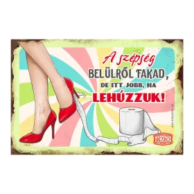 Retro fémtábla - A szépség belülről fakad, de itt jobb ha lehúzzuk - almazöld - A4 - 20x30 cm  T114-3-A4