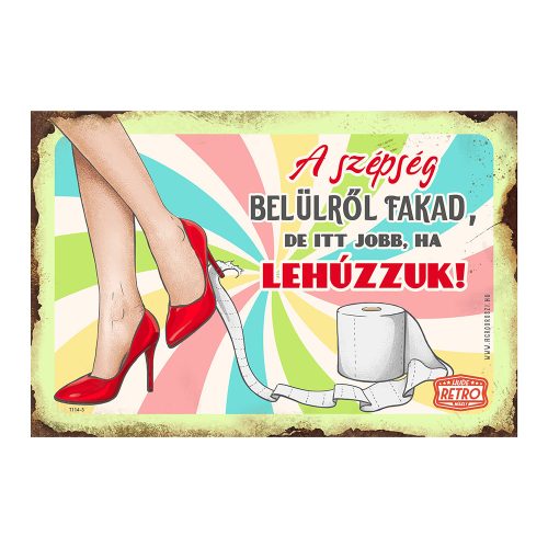 Retro fémtábla - A szépség belülről fakad, de itt jobb ha lehúzzuk - almazöld - A4 - 20x30 cm 