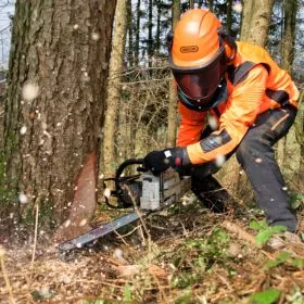 Ismerd meg az Oregon márkát